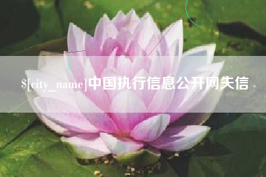上饶中国执行信息公开网失信