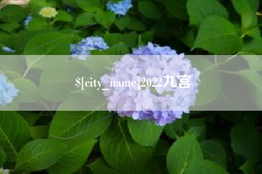 上饶2022九宫