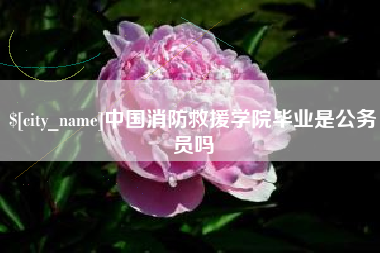上饶中国消防救援学院毕业是公务员吗