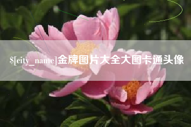 上饶金牌图片大全大图卡通头像