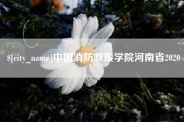 上饶中国消防救援学院河南省2020